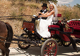 Carrozza cavalli per matrimoni