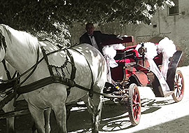 Carrozza cavalli per matrimoni