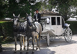 Carrozza per matrimoni