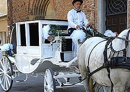 Carrozza cavalli e cocchiere per matrimoni