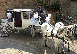 Carrozza cavalli e cocchiere per matrimoni