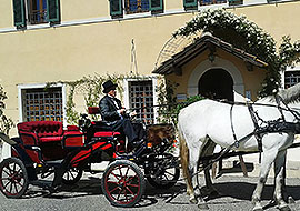 Carrozza cavalli per matrimoni