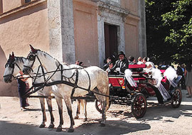 Carrozza  per matrimoni