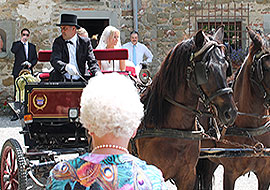 Carrozza cavalli  per matrimoni