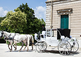 Carrozza  per matrimoni