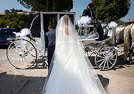 Carrozza cavalli  per matrimoni