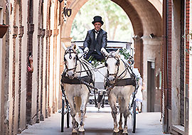 Carrozza cavalli e cocchiere per matrimoni