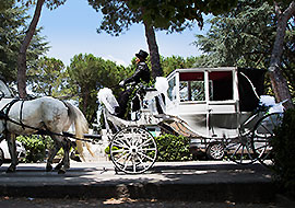 Carrozza per matrimoni