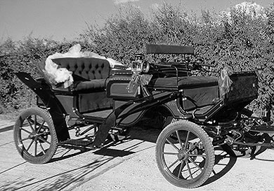 Carrozza cocchiere e cavalli per matrimoni